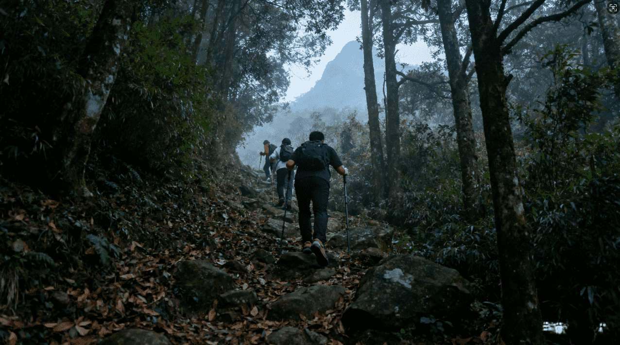 怎样使用Ins加速器实现高清视频在线播放